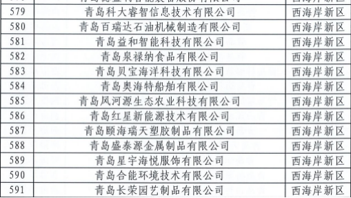 青島科大睿智信息技術(shù)有限公司-CMMI認證